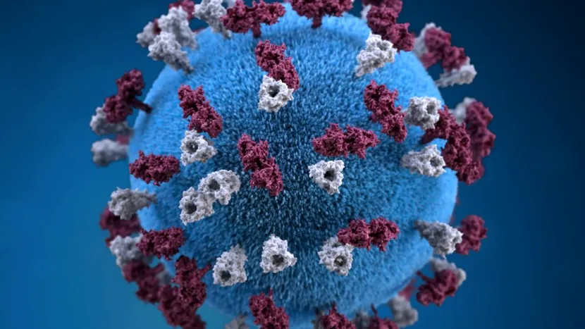Bilanț coronavirus 25 martie. Peste 3.500 de cazuri noi, în ultimele 24 de ore. Câte decese au fost raportate
