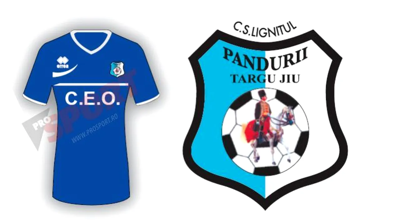 CS Pandurii Târgu Jiu 2013 - 2014: informații generale, lotul de jucători, transferuri și echipa tip