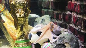 Dezvăluirea pentru care Steaua e amenințată cu retrogradarea: drumul comisionului care a declanșat scandalul! O firmă cu doi angajati, în spatele afacerii