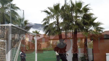 Timișoara, pe urmele lui Mutu