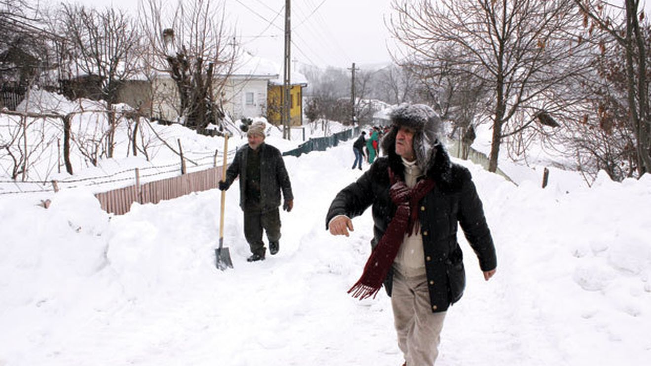 Smurd Gigi: "Utilaje avem, lopeți avem, dar avem nevoie de forță de muncă"** Cum arată odiseea albă care l-a făcut pe Becali să uite complet de Steaua