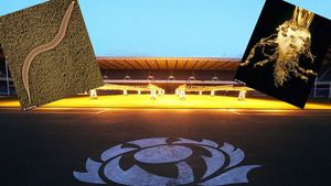 Sportul din Marea Britanie, sabotat de un parazit. Singura rezolvare este usturoiul. Stadioane importante, afectate: "O rușine națională"