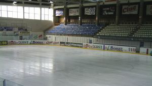 COSR decide vineri sancțiunile în cazul hocheistului român agresat de colegii săi maghiari