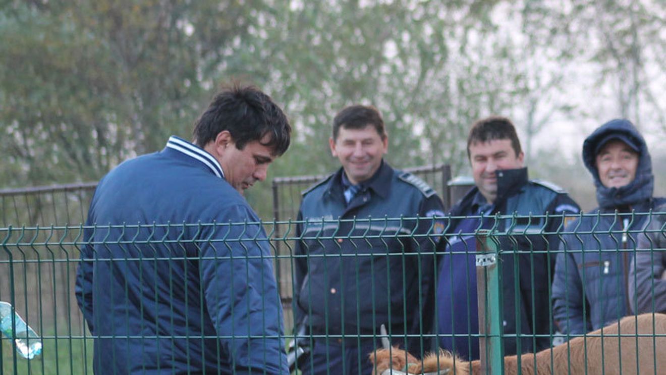 GALERIE FOTO | "Altoirea" arbitrului cu nuiaua și arsul vacii cu țigara, nivelul la care s-a coborât în campionatul județean