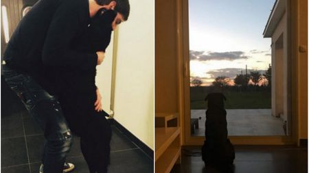 Emoționant! FOTO | "Te așteaptă". Câinele lui Sala, surprins într-o ipostază de film! Poza care a "rupt" internetul