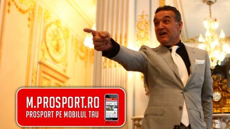 Încă un dușman de MOARTE pentru Becali!** "E o oaie parlamentară!" SUMA care-l aruncă pe Gigi într-un nou scandal