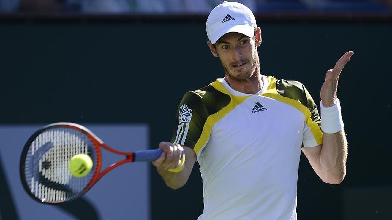 Del Potro are încredere în talentul lui Murray: ,,Poate să fie numărul 1"