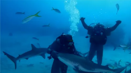 Mike Tyson a adormit un rechin! „E campionul absolut” | FOTO&VIDEO
