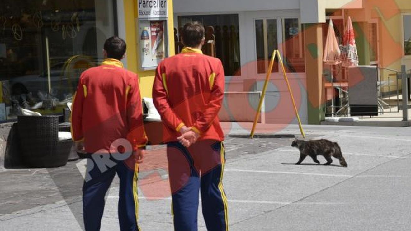 FOTO** Semn rău! O pisică i-a tăiat calea și i-a stricat plimbarea lui Pițurcă în Austria