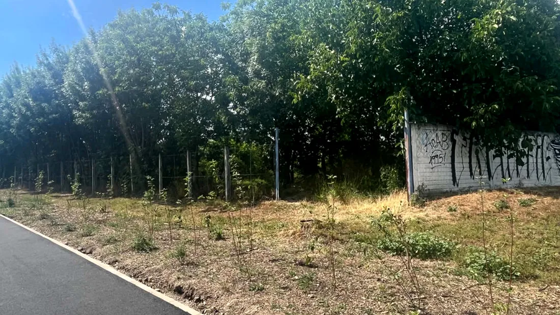 De peste un an, autoritățile nu pot să facă o bază de antrenament pentru Știința Poli. Ping-pong administrativ de nedescris și secretomanie ca în vremurile de tristă amintire