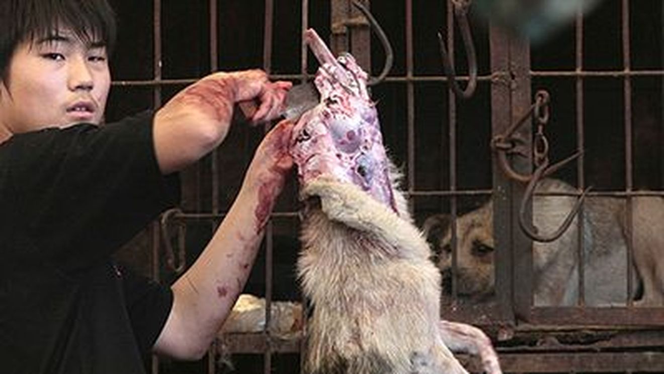Fără carne la JO
