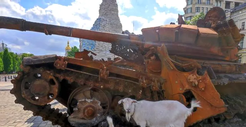 O capră a rănit zeci de soldați ruși după ce a  declanșat o capcană explozivă. Animalul a devenit un adevărat erou în Ucraina