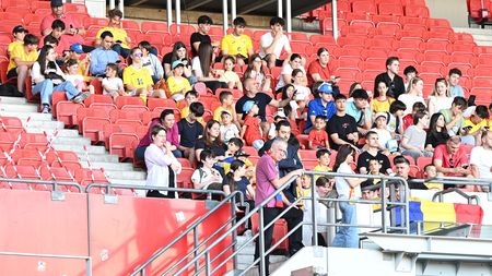 Imagini superbe de la antrenamentul oficial. Fanii României şi-au arătat devotamentul înainte de meciul cu Austria