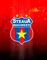 Steaua merge la TAS împotriva FRF. ”Clubul a înaintat către Tribunalul de Arbitraj Sportiv de la Lausanne documentele necesare. Acționăm pentru a ne proteja drepturile și interesele”