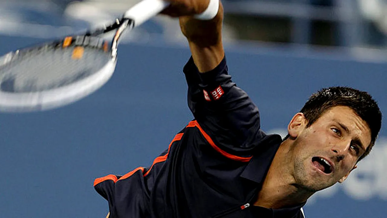 Djokovic și Ferrer în semifinale la US Open