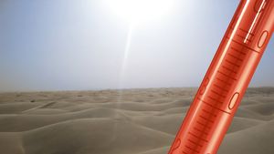 "Mirel Rădoi va avea probleme! Nu știu dacă se poate adapta la temperaturi de 40 de grade!" CE CREZI?