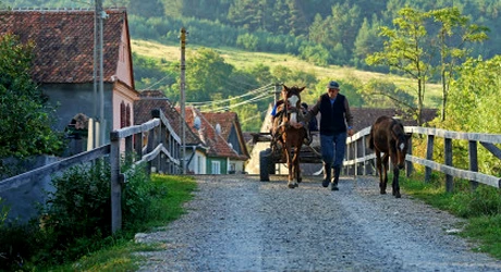 Obligatoriu în fiecare localitate din România. Toată lumea trebuie să predea. Zero excepții