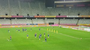Pericol pentru naționala lui Daum înainte de meciul decisiv cu Danemarca! | FOTO cu suprafețele mucegăite ale terenului de pe Cluj Arena: Schmeichel a fost prins "în ofsaid" și invitat să părăsească zona