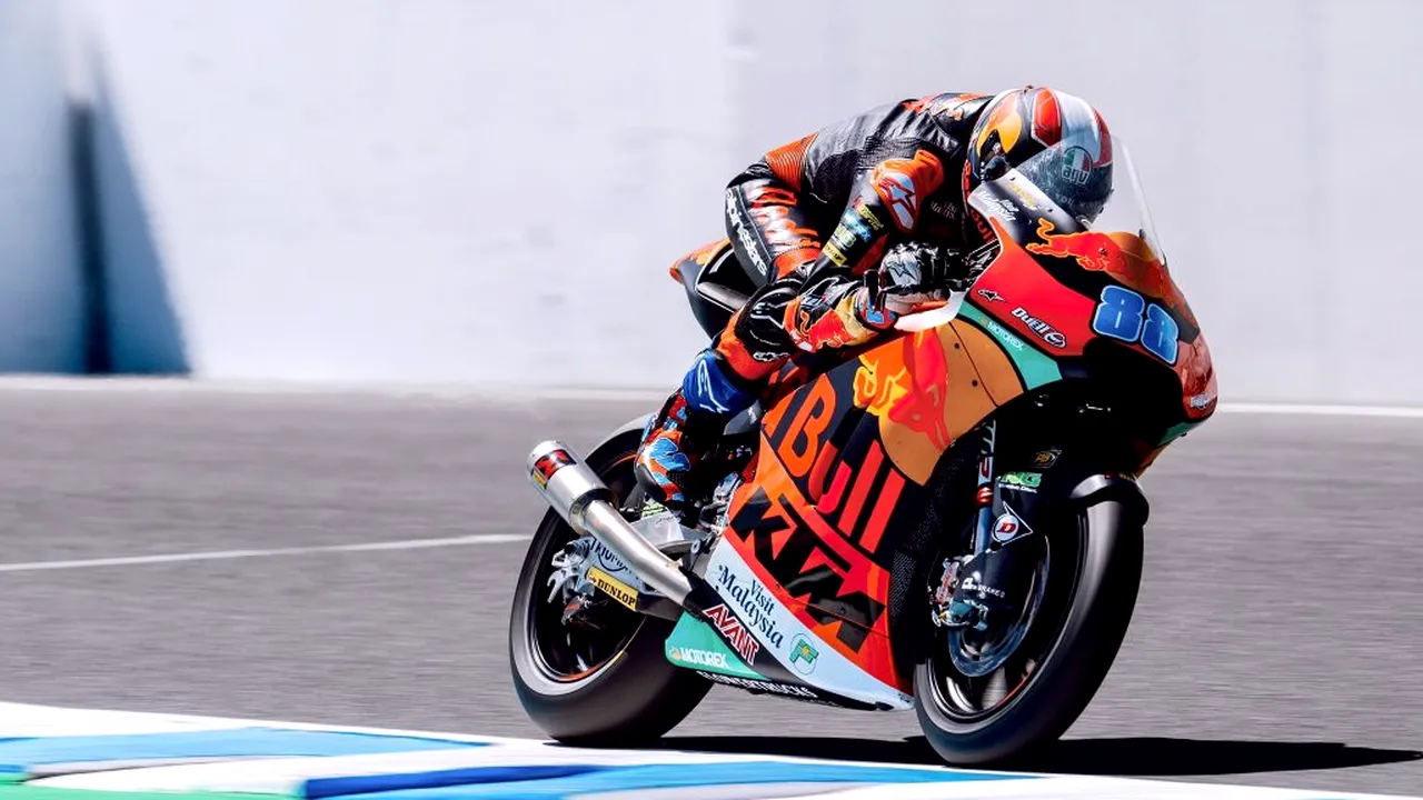 Un cangur a intrat pe circuit la antrenamentele pentru Marele Premiu al Australiei la MotoGP