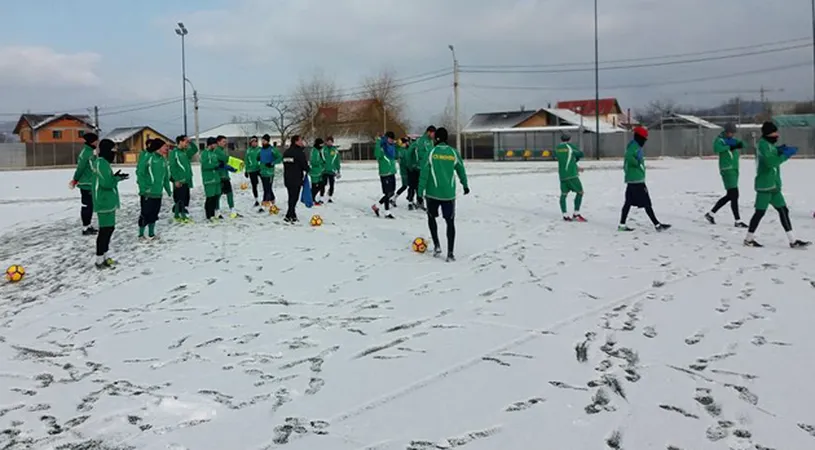 Galben-verzii se pregătesc de cantonamentul de la Mogoșoaia!** Roșu: 