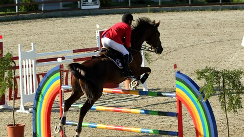 Iubitorii de cai, invitați la clubul Equestria din Tâncăbești