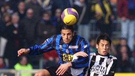 Codrea, "câinele de pază al Sienei"