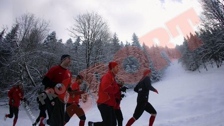 FOTO **"Câini" maratoniști!** Niculae & co au alergat 10 kilometri la antrenamentul de dimineață!