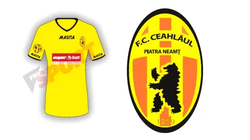 FC Ceahlăul Piatra Neamț 2013 – 2014: informații generale, lotul de jucători, transferuri și echipa tip