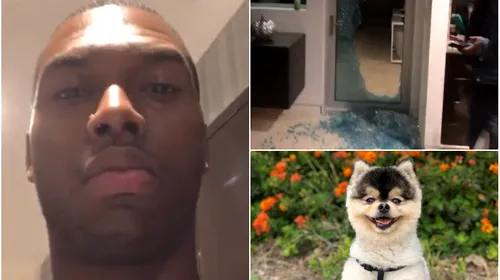 Daniel Sturridge e devastat! VIDEO | Hoții i-au spart pentahouse-ul din Los Angeles și i-au furat câinele. Atacantul le oferă o recompensă pentru a-l aduce înapoi: „Vă voi plăti pentru câine. Nu-l vindeți altcuiva”