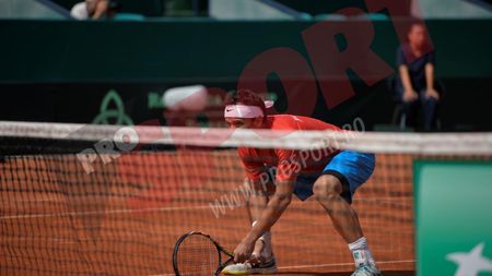 Florin Mergea s-a calificat în sferturile de finală ale probei de dublu de la Viena