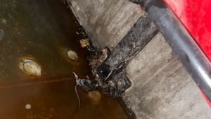 „Teatrul ororilor”. A făcut 300.000 de vizualizări într-un timp record: imaginea cu un șobolan mort, sub un scaun al celebrului stadion de fotbal a șocat