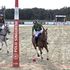 E gata și a treia ediție Singureni Manor Polo Cup! „Interesul e din ce în ce mai mare”