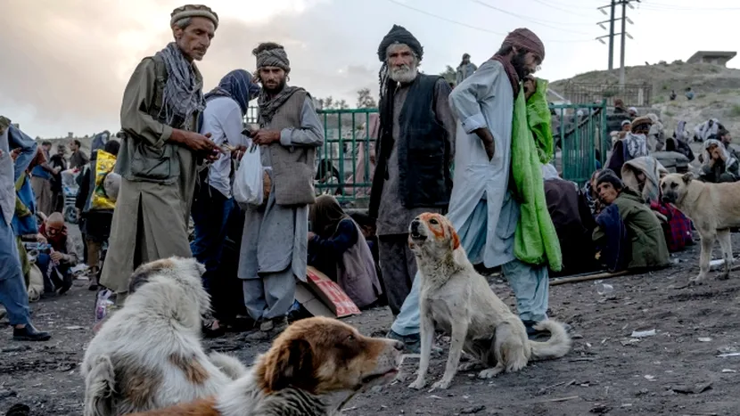Iadul drogurilor din Kabul. Câinii au ajuns să fie dependenți de heroină, iar cadavrele afganilor supradotați sunt împrăștiate pe străzi