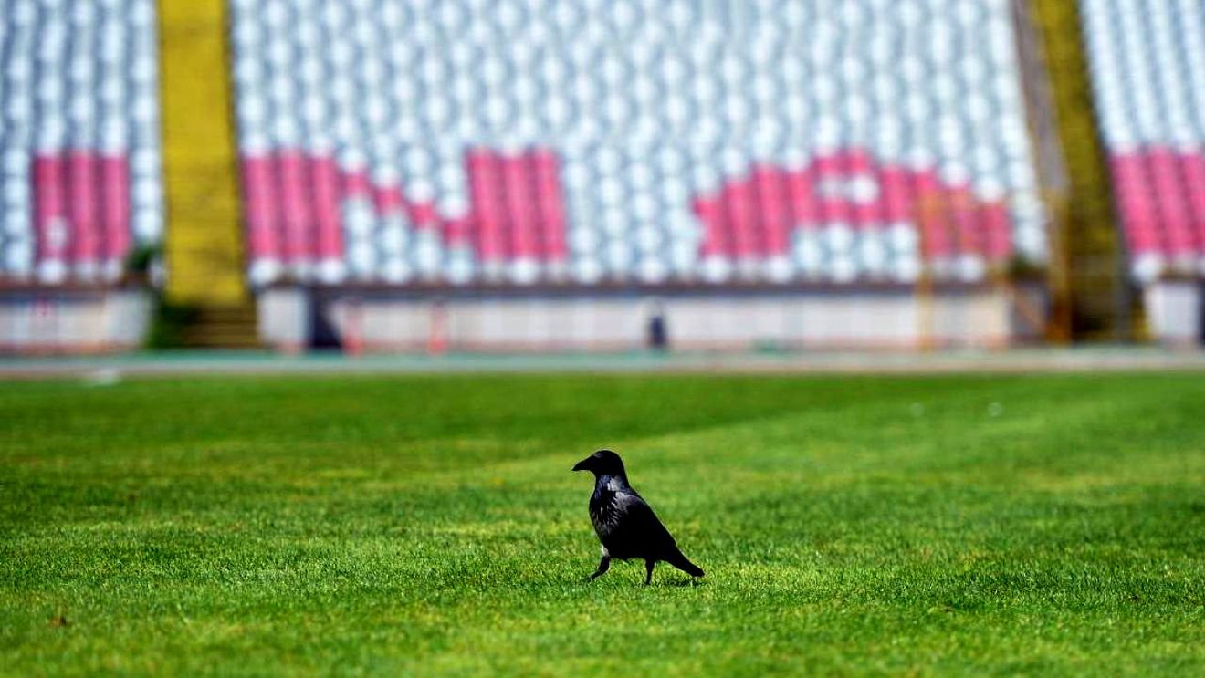 Dinamoviștii chiar vor avea un super stadion! Șefii clubului fac anunțul: „Să vedem unde ne putem muta!”