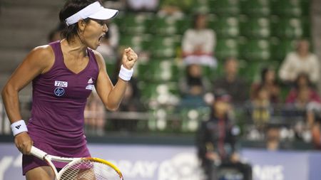 Au prins-o Spîrlea și Dragomir, dar și Cîrstea și Halep. S-a retras o legendă a tenisului mondial. "Puștoaica" de 46 de ani a cucerit 8 titluri în carieră. "Am trecut peste operații grele"