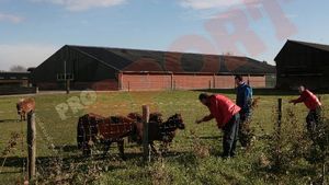 FOTO** Biliardul sau plimbările prin mall sunt istorie! Cum s-au relaxat steliștii înaintea meciului cu Utrecht!