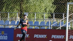 Mirel Rădoi l-a pierdut și pe Marian Aioani înaintea meciului cu Macedonia de Nord! Reacția FRF: „Multă sănătate și recuperare rapidă!”