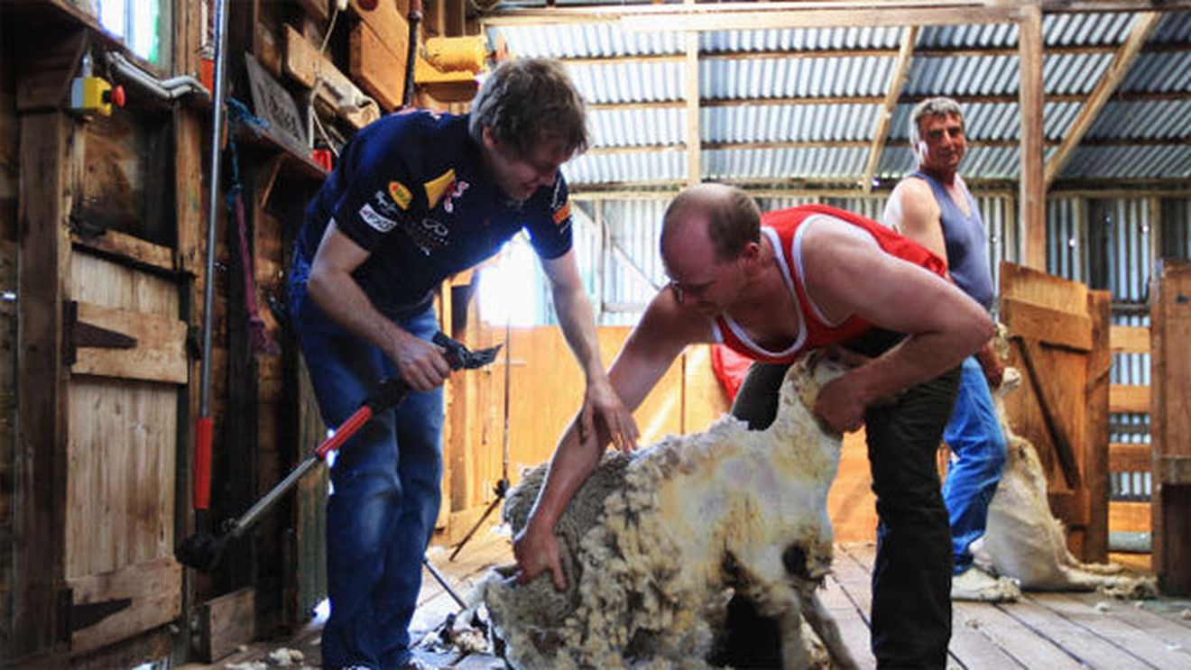 SUPER FOTO** Vettel se antrenează pentru cursa de la Melbourne cu mașina...de tuns oi :)