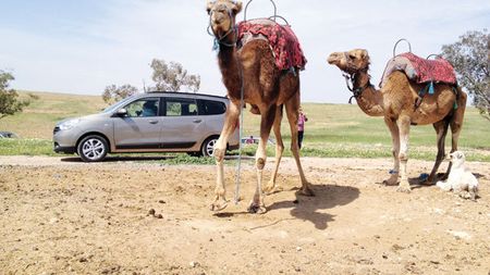 Maroc, țara unde s-a născut Lodgy!** Statul nord-african e unul al contrastelor, dar vrea să evolueze odată cu brandul Dacia