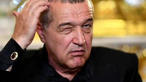 Gigi Becali și-a luat o turmă formată din sute de oi și se pregătește să se retragă definitiv! Planul patronului lui FCSB