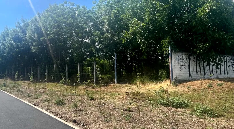 De peste un an, autoritățile nu pot să facă o bază de antrenament pentru Știința Poli. Ping-pong administrativ de nedescris și secretomanie ca în vremurile de tristă amintire