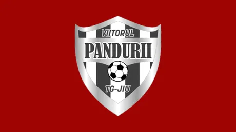 EXCLUSIV | Au pus cruce la club! Tribunalul Gorj a decis falimentul clubului Viitorul Pandurii Târgu Jiu. Liga 2 rămâne cu o echipă în minus. Ce se întâmplă cu rezultatele gorjenilor din acest sezon