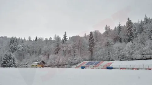 'Câinii' au primit mingea! FOTO** Surpriza de care ar putea avea parte jucătorii lui Dinamo în amicalul cu FC Râșnov 