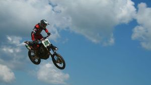 Stoichescu a riscat și a abandonat