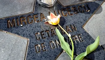 Hunedoara va fi în doliu în ziua înmormântării lui Mircea Lucescu! Consilierii locali au decis în unanimitate. ”A fost, este şi va rămâne mereu unul dintre cei mai iubiţi hunedoreni”