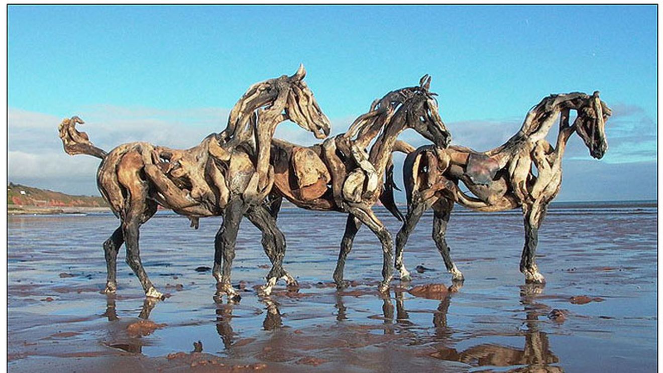 Fotografia zilei / Căluți de mare