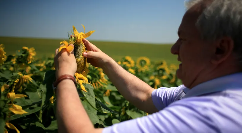 Porumboiu atacă: 