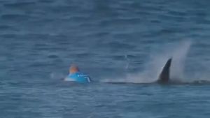 VIDEO | Mick Fanning, surferul atacat de un rechin alb la J-Bay Open: "M-a dărâmat de pe placă și se zvârcolea lângă mine. Atunci am început să-l lovesc. Mental, sunt devastat. Nu voi mai fi niciodată în apa pe 19 iulie"