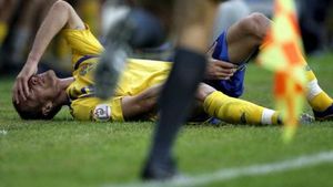 Wilhelmsson va rata meciurile Suediei din grupă