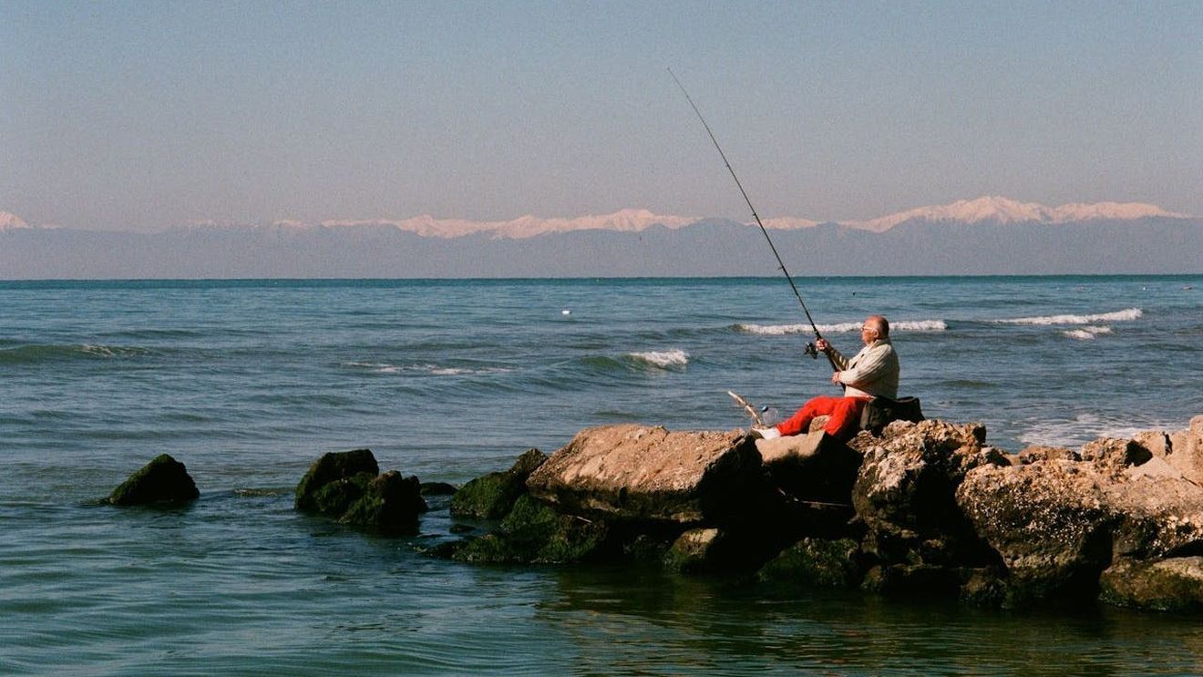 (P) Lansete feeder și momitoarele grele: combinații testate de experți